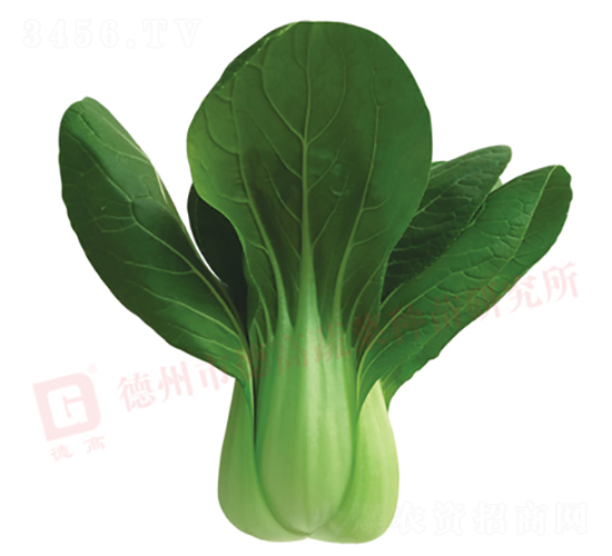 �¸�579-�๣������-�¸�