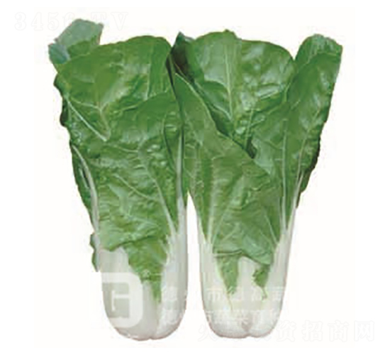 �¸�1138-�������-�¸�