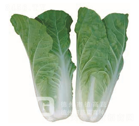 CR188-�๣������-�¸�