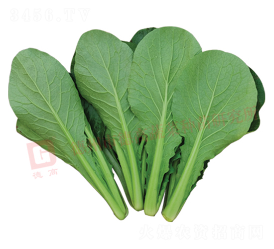 �¸�2588-�������-�¸�