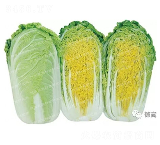 �¸���6-���޲�����-�¸�