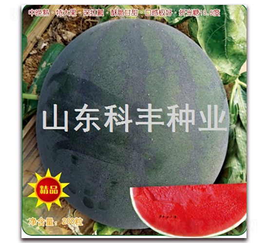 ī��-��������-�Ʒ���ҵ