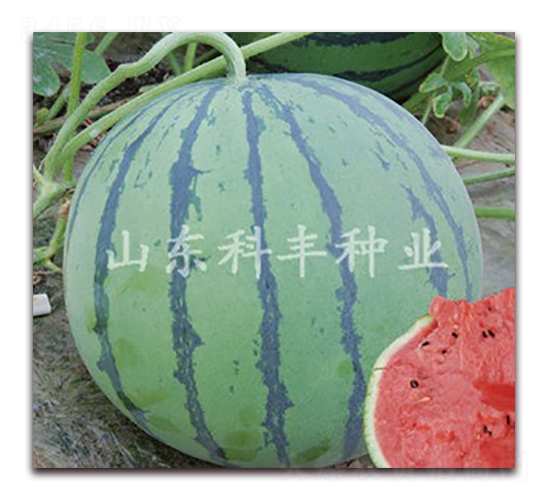 ����8424-��������-�Ʒ���ҵ