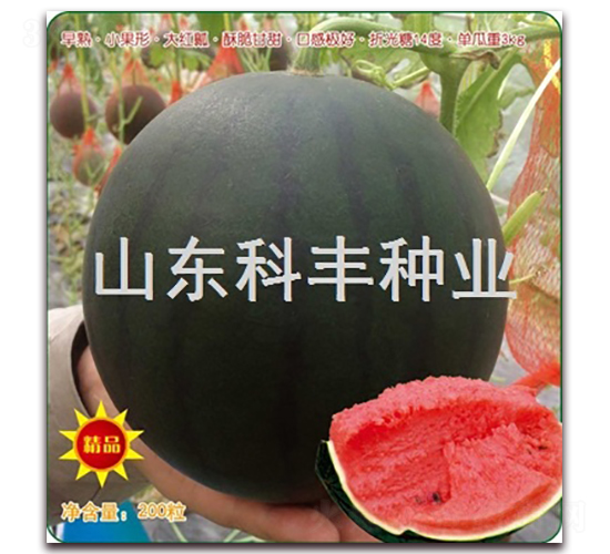 ���б�-��������-�Ʒ���ҵ