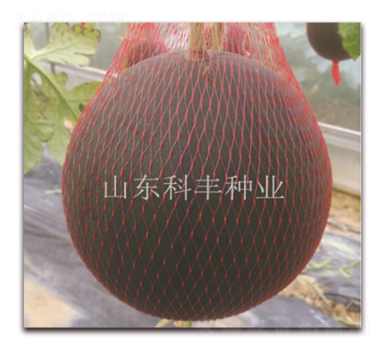 �۱�300-��������-�Ʒ���ҵ