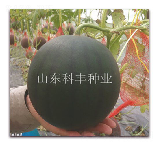 �۱�200-��������-�Ʒ���ҵ