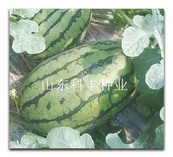 �컨��260-��������-�Ʒ���ҵ
