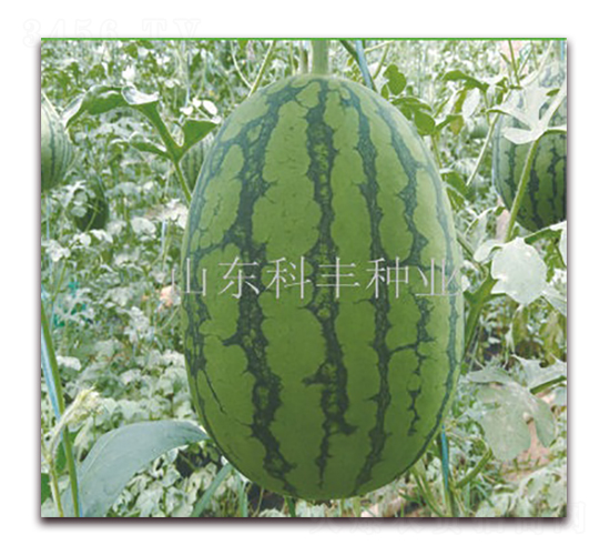 �컨��200-��������-�Ʒ���ҵ