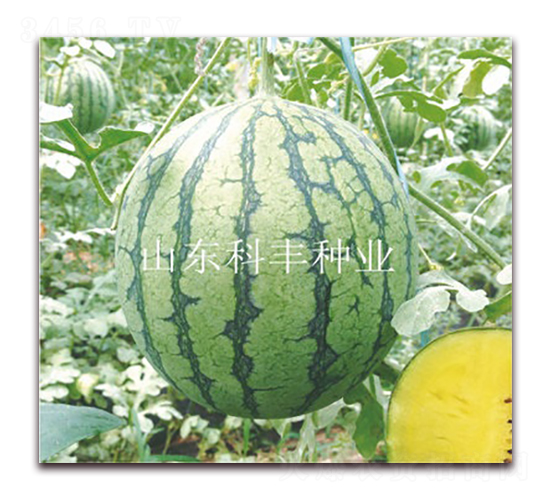 �ƾ���-��������-�Ʒ���ҵ