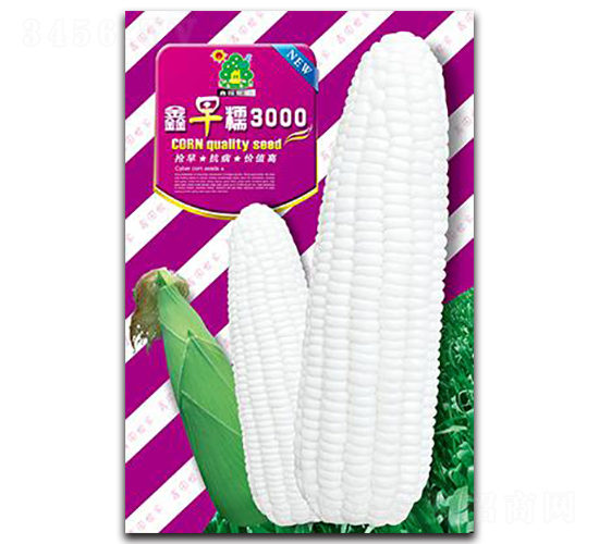 ����Ŵ3000-��������-��԰����