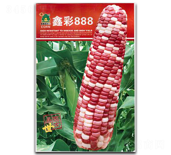 �β�888-��������-��԰����
