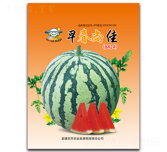 �紺�м�-��������-ũ��ũҵ