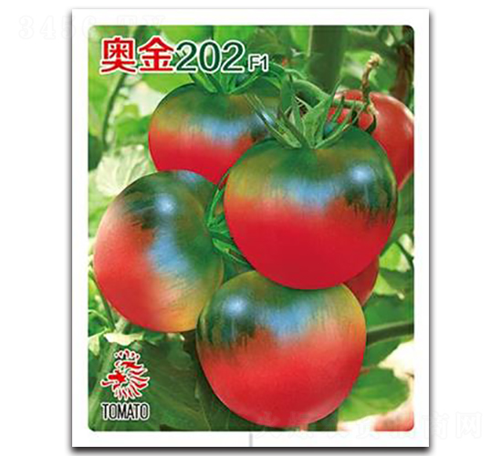 �½�202-��������-��԰����
