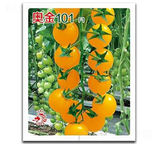 �½�101-��������-��԰����