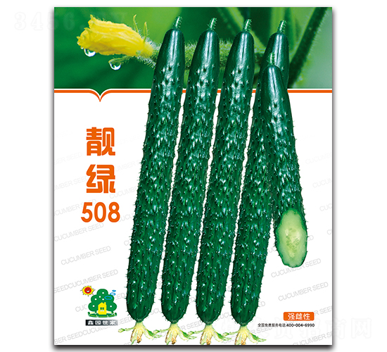 ����508-�ƹ�����-��԰����