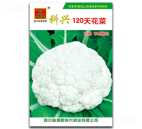 120�컨��-��������-������ҵ