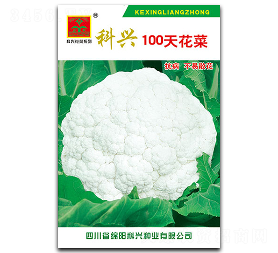 100�컨��-��������-������ҵ