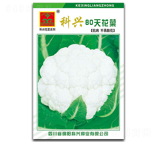 80�컨��-��������-������ҵ