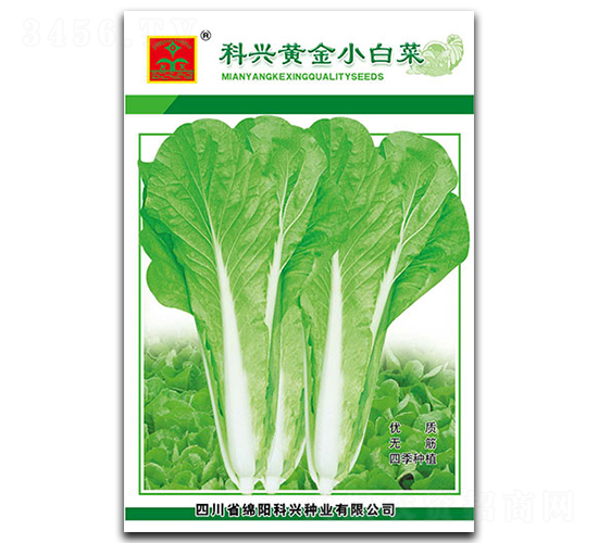 �ƽ�С�ײ�-Ҷ������-������ҵ