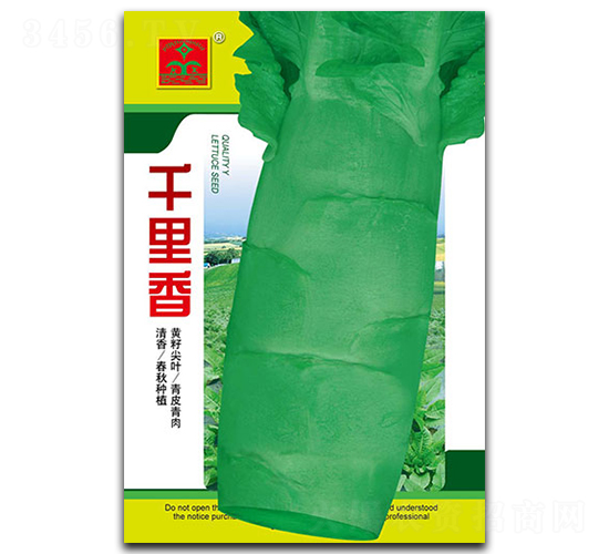 ǧ����-ݫ������-������ҵ