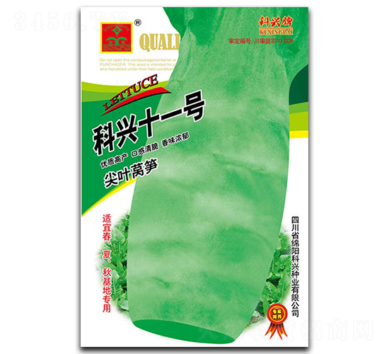 ����ʮһ��-ݫ������-������ҵ