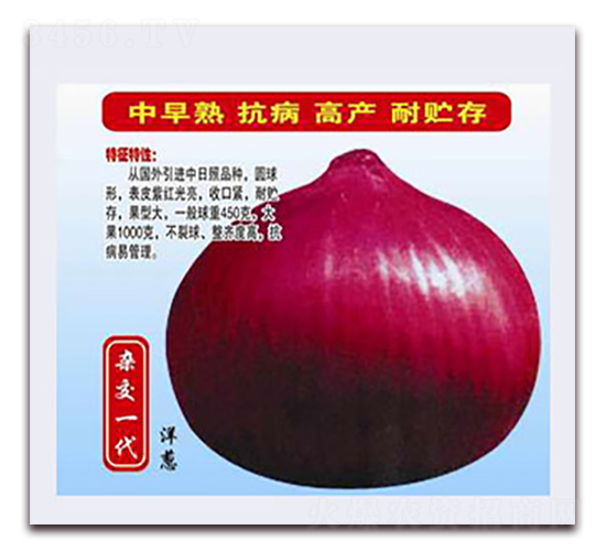 �¾޺����-�������-����ũҵ