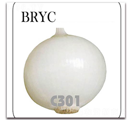 C301-�������-����ũҵ
