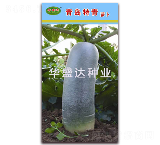 �ൺ����-�ܲ�����-��ʢ��