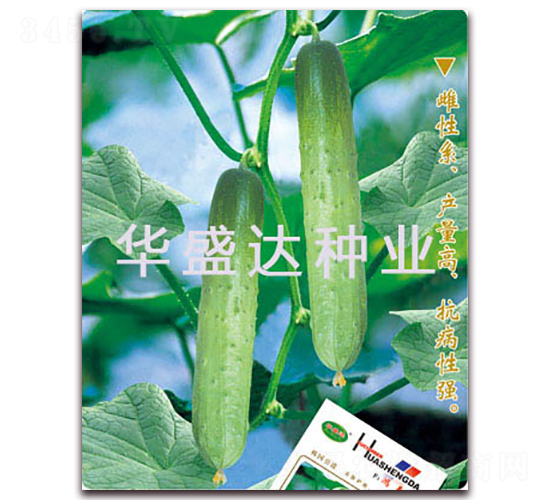 �贺-�ƹ�����-��ʢ��
