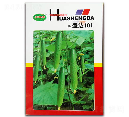 F1ʢ��101-�ƹ�����-��ʢ��