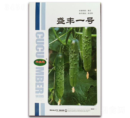 ʢ��һ��-�ƹ�����-��ʢ��