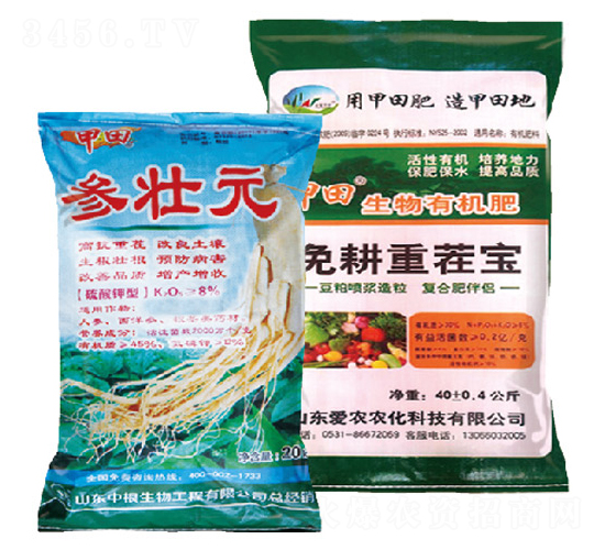 ����ز籦-��״Ԫ-�и�����