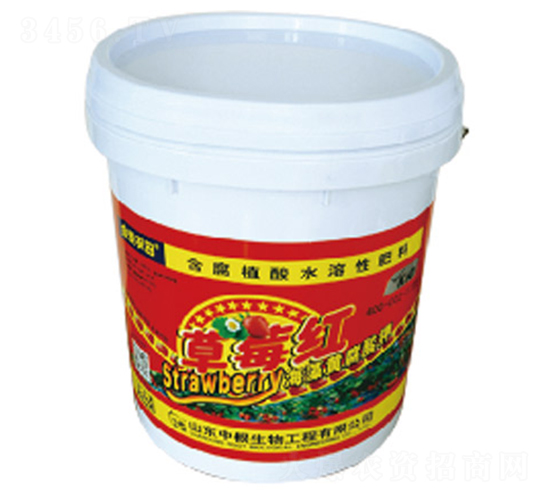 ����ֲ��ˮ�ܷ���-��ݮ��-�и�����