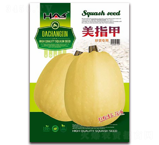 ��ָ��-��������«����-�β���