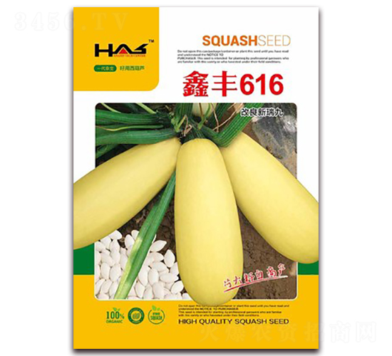 �η�616-��������«����-�β���