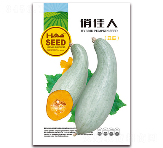 �μ���-�Ϲ�����-�β���