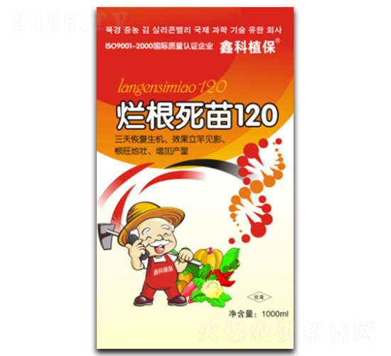 �ø�����120-������˹