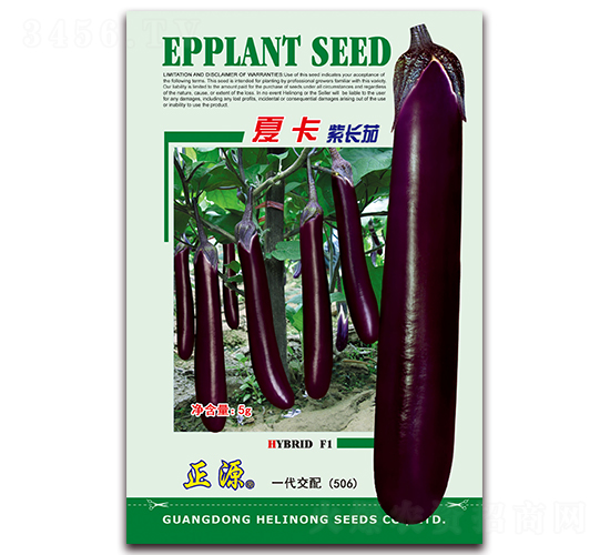 �Ŀ��ϳ��ѣ�506��-��������-����ũ