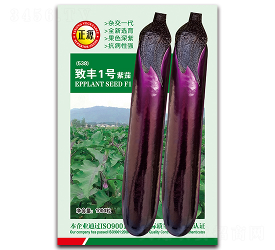 �·�1�����ѣ�538��-��������-����ũ
