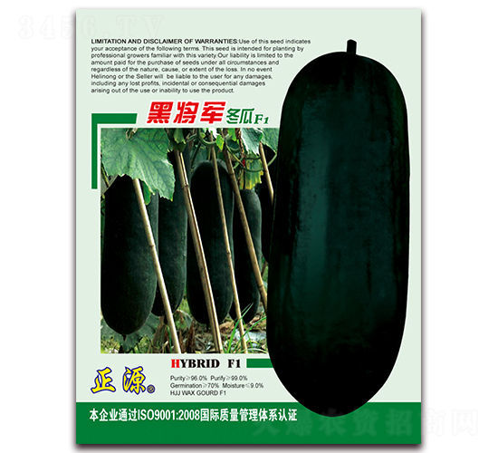 �ڽ������ϣ�Z1001��-��������-����ũ
