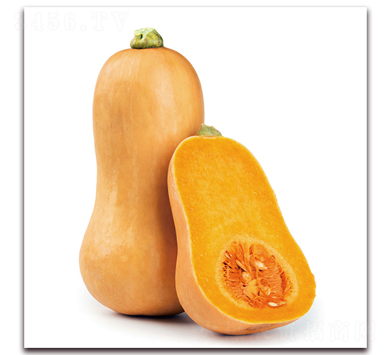 ����ũ�����Ϲϣ�1249��-�Ϲ�����-����ũ