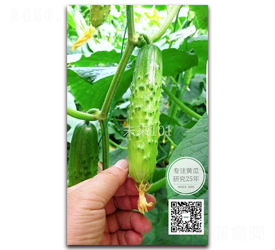 δ��101-�ƹ�����-�¸���