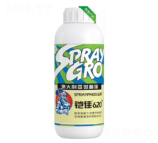 ����620-������
