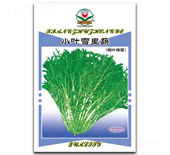 СҶѩ��ޮ-�������-������ҵ