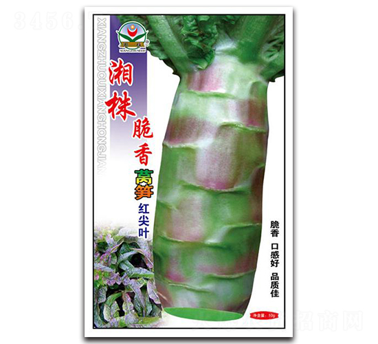������Ҷ-ݫ������-������ҵ