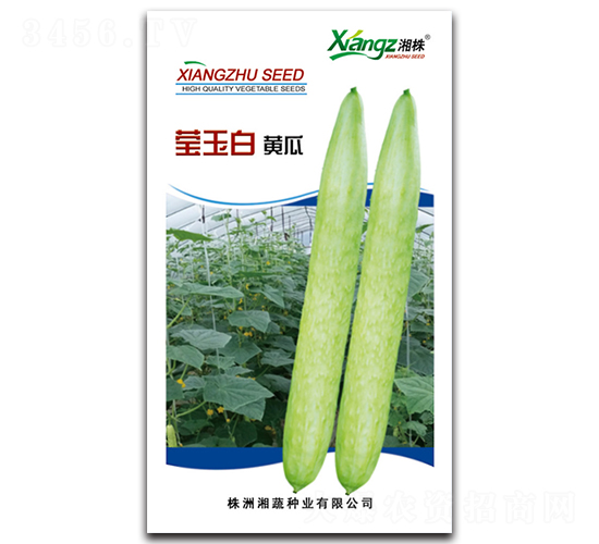 Ө���-�ƹ�����-������ҵ