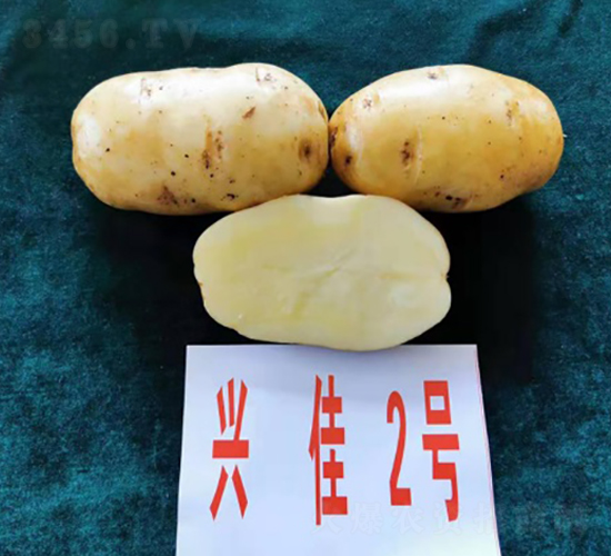 �˼�2��-����������-������ҵ