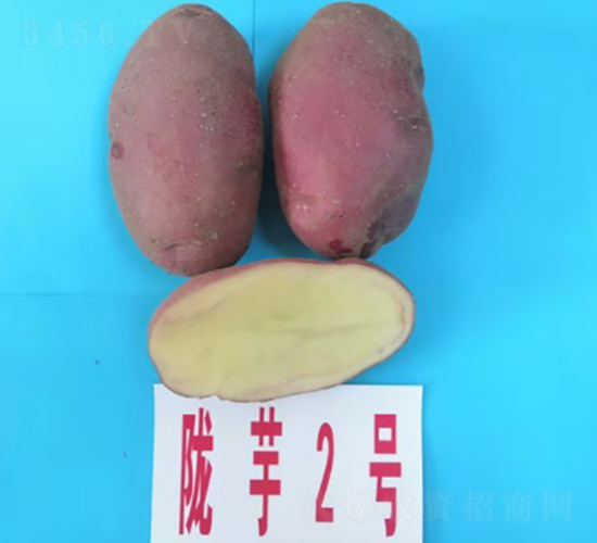 ¤��2��-����������-������ҵ
