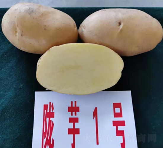 ¤��1��-����������-������ҵ