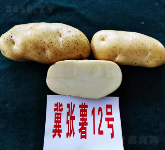������12��-����������-������ҵ
